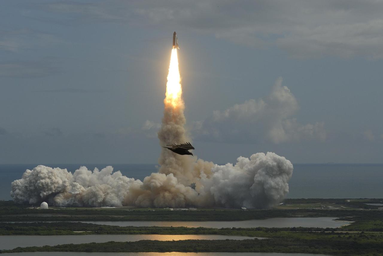KENNEDY SPACE CENTER, FLA. -- The vulture in the foreground may have been startled to flight by the roar of space shuttle Discovery, in the background, as it hurtles into space atop a column of fire. Discovery is headed to the International Space Station on mission STS-120. Beyond the billows of smoke is the Atlantic Ocean. Liftoff was on time at 11:38:19 a.m. EDT. Discovery carries the Italian-built U.S. Node 2, called Harmony. During the 14-day STS-120 mission, the crew will install Harmony and move the P6 solar arrays to their permanent position and deploy them. Discovery is expected to complete its mission and return home at 4:47 a.m. EST on Nov. 6. Photo courtesy of Nikon/Scott Andrews.