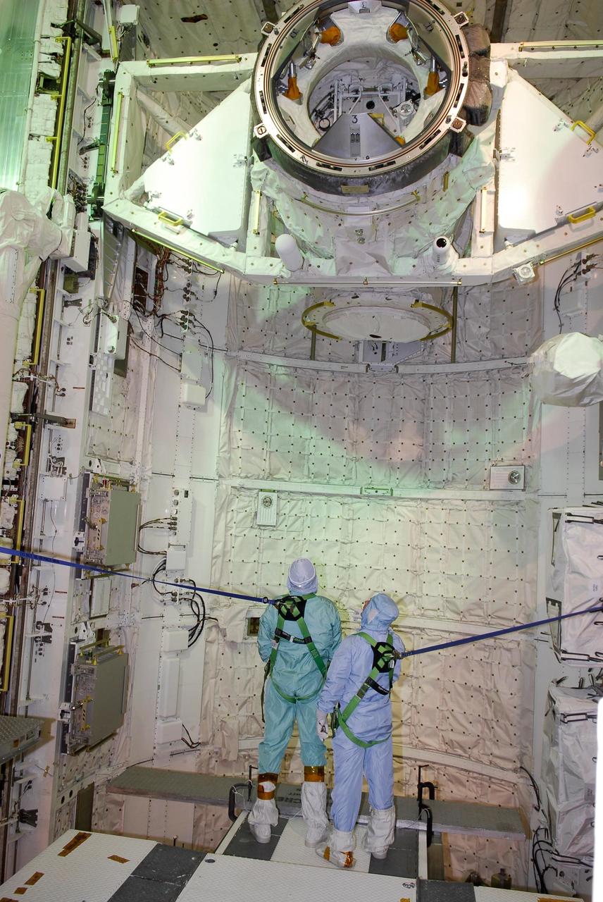KENNEDY SPACE CENTER, FLA. -- On NASA Kennedy Space Center's Launch Pad 39A, STS-123 crew members look up at the docking system in space shuttle Endeavour's payload bay. The STS-123 crew is at Kennedy for a full launch dress rehearsal, known as the terminal countdown demonstration test, or TCDT. The TCDT provides astronauts and ground crews with an opportunity to participate in various simulated countdown activities, including equipment familiarization and emergency training. Endeavour is targeted to launch March 11 at 2:28 a.m. EDT on the 16-day STS-123 mission to the International Space Station. Endeavour and its crew will deliver the first section of the Japan Aerospace Exploration Agency's Kibo laboratory and the Canadian Space Agency's two-armed robotic system, Dextre. Photo credit: NASA/Kim Shiflett