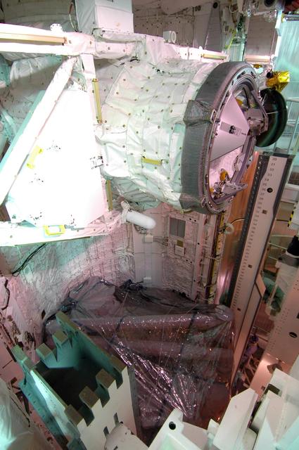 NASA image: KSC-08pd1143