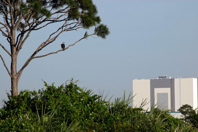 NASA image: KSC-08pd1163