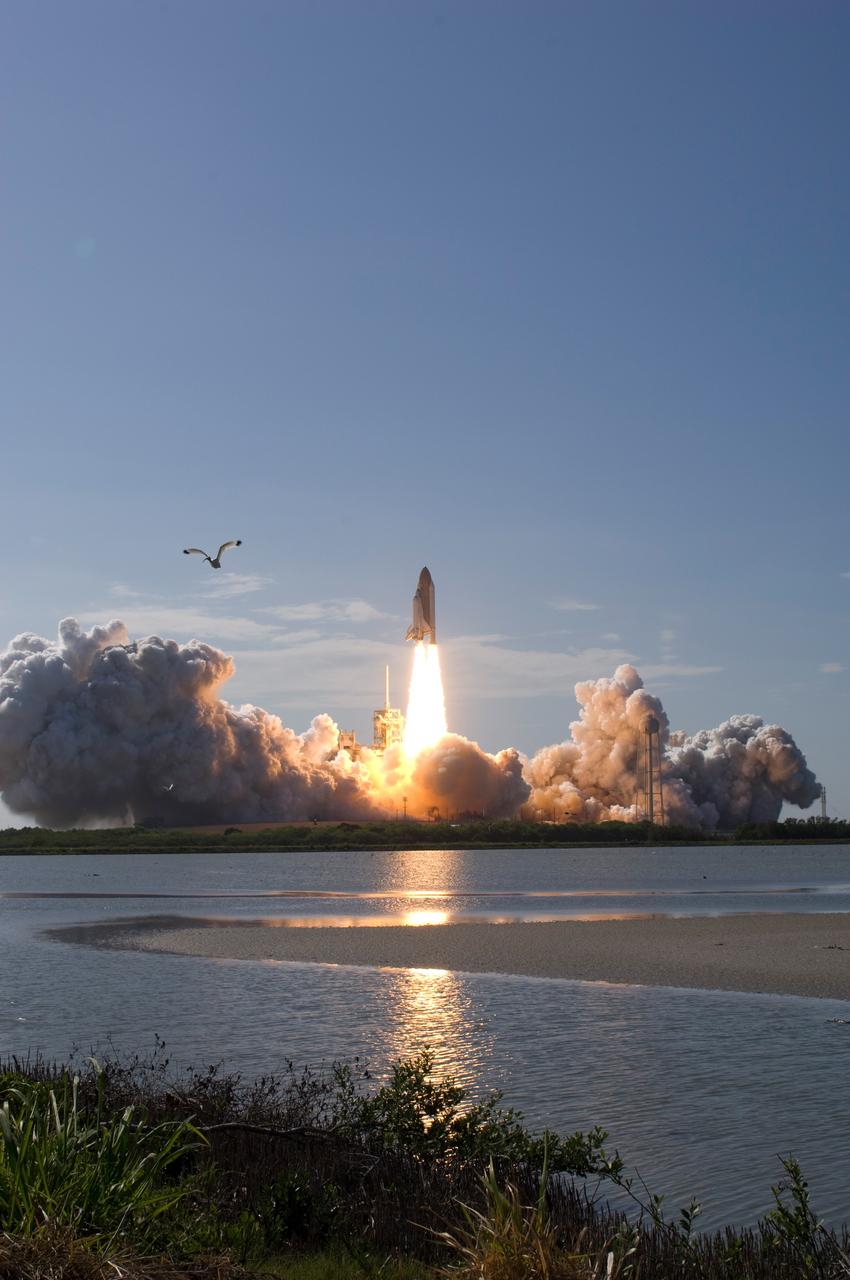 CAPE CANAVERAL, Fla. -- A stork has a birds-eye view of space shuttle Discovery's fiery liftoff on its STS-124 mission to the International Space Station from Launch Pad 39A at NASA's Kennedy Space Center. Launch was on time at 5:02 p.m. EDT. Discovery is making its 35th flight. The STS-124 mission is the 26th in the assembly of the space station. It is the second of three flights launching components to complete the Japan Aerospace Exploration Agency's Kibo laboratory. The shuttle crew will install Kibo's large Japanese Pressurized Module and its remote manipulator system, or RMS. The 14-day flight includes three spacewalks. Photo credit: NASA/Sandra Joseph, Tony Gray, Robert Murray, Mike Kerley