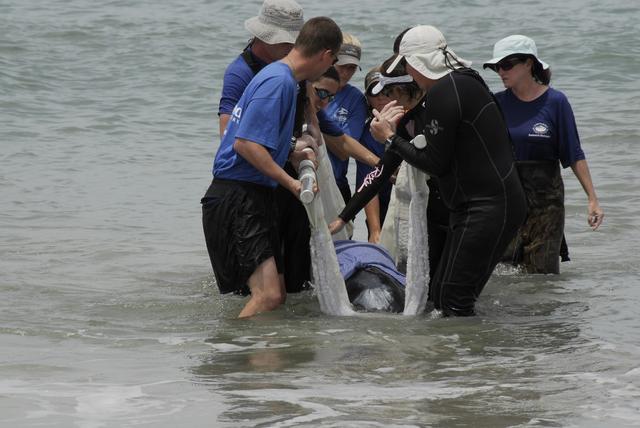 NASA image: KSC-08pd1823