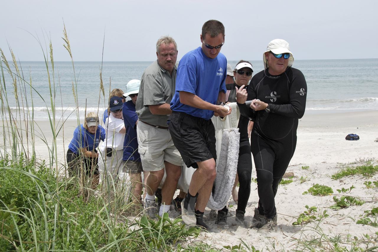 CAPE CANAVERAL, Fla. – Workers from NASA's Kennedy Space Center, a veterinarian and representatives from the Hubbs/Sea World Research Institute support a stranded Melon-Headed Whale on a sling as they carry it to a waiting truck. The whale was found beached south of Launch Pad 39A near Cape Canaveral Air Force Station. The whale will be taken to Sea World for evaluation. After assessment by veterinarians at Sea World, the whale will be transported to a whale rescue center in the Panhandle for rehabilitation and release. The Melon-Headed Whale lives well off-shore in all the world's tropical and sub-tropical oceans. At the northern fringes of its range, it may also be found in the warm currents of temperate waters, such as Florida. It is closely related to the Pygmy Killer Whale and the Pilot Whales. Its primary diet is squid. Photo credit: NASA/Kim Shiflett