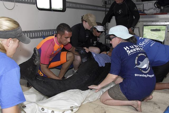 NASA image: KSC-08pd1828