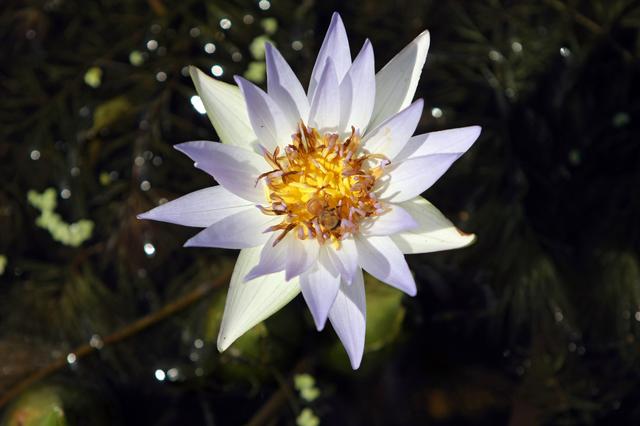 NASA image: KSC-08pd3163