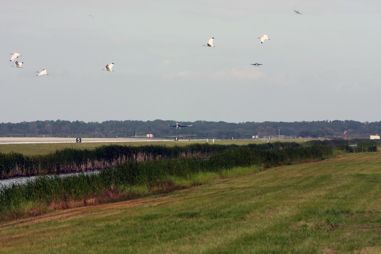 CAPE CANAVERAL, Fla. –  Storks seem to join the formation as the U.S. Navy's Blue Angels F/A-18 jets land on the runway at NASA's Kennedy Space Center in Florida.  The Blue Angels are at Kennedy to perform in the Kennedy Space Center Visitor Complex Space and Air Show Nov. 8-9. The Navy's elite flight demonstration squadron will take to the skies in military aircraft demonstrations by the F-16 Fighting Falcon and F/A-18 Super Hornet jets for the second annual Space & Air Show at Kennedy. This year’s show brings together the best in military aircraft, coupled with precision pilots and veteran astronauts to celebrate spaceflight and aviation. The event includes military aircraft demonstrations by the F-16 Fighting Falcon and a water rescue demonstration by the 920th Rescue Wing. Photo credit: NASA/Kim Shiflett