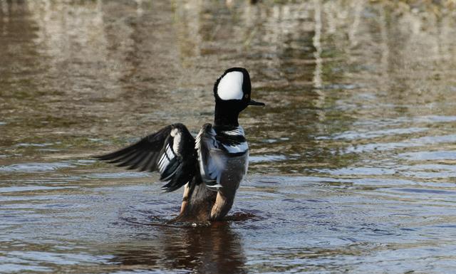 NASA image: KSC-08pd4118