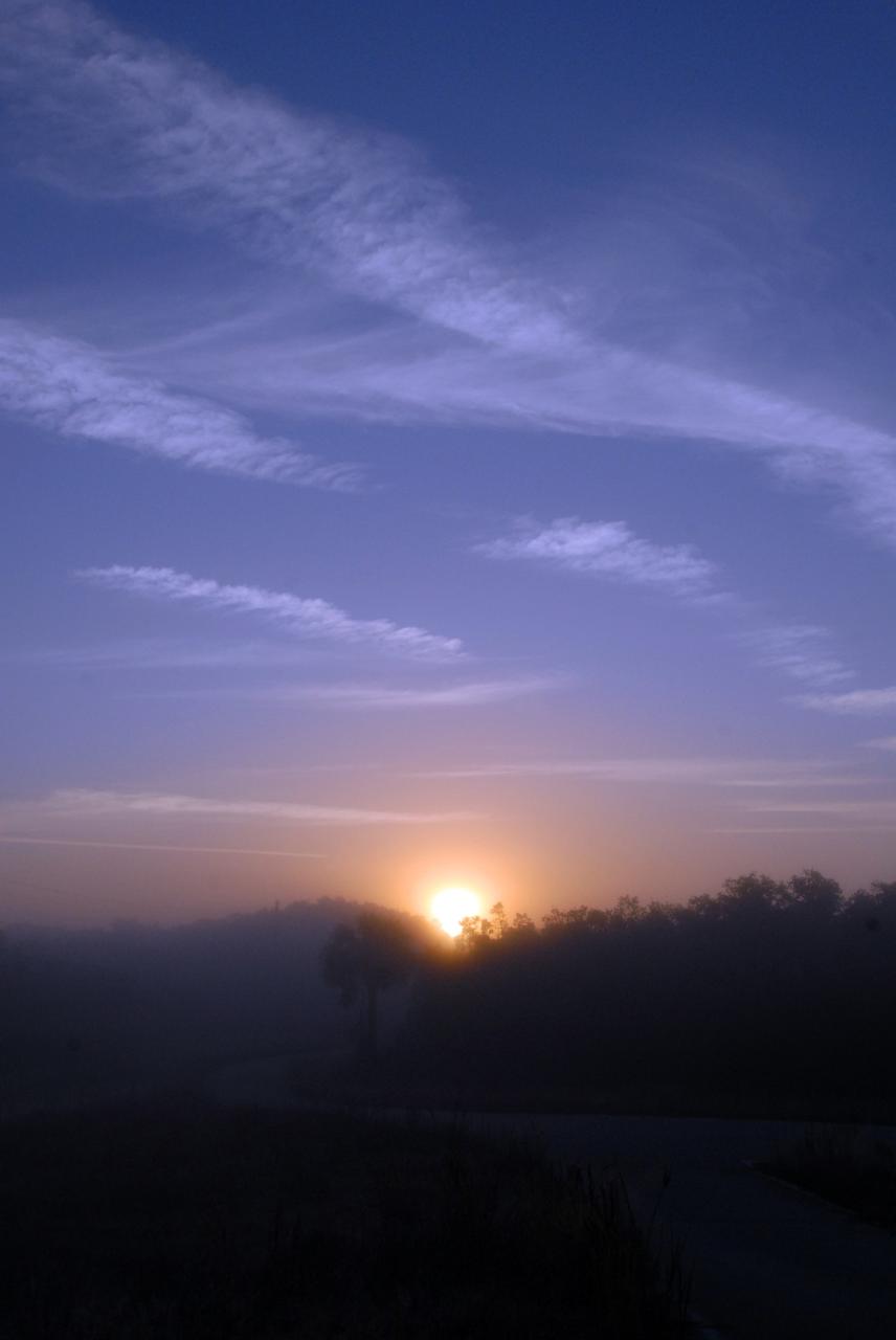 CAPE CANAVERAL, Fla. –  Sunrise casts an orange glow over the wooded landscape surrounding NASA's Kennedy Space Center in Florida. The center shares a boundary with the Merritt Island National Wildlife Refuge that includes salt-water estuaries, brackish marshes, hardwood hammocks and pine flatwoods. The diverse landscape provides habitat for more than 310 species of birds, 25 mammals, 117 fishes and 65 amphibians and reptiles. Photo credit: NASA/Jack Pfaller
