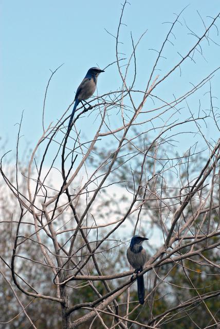 NASA image: KSC-2009-1909