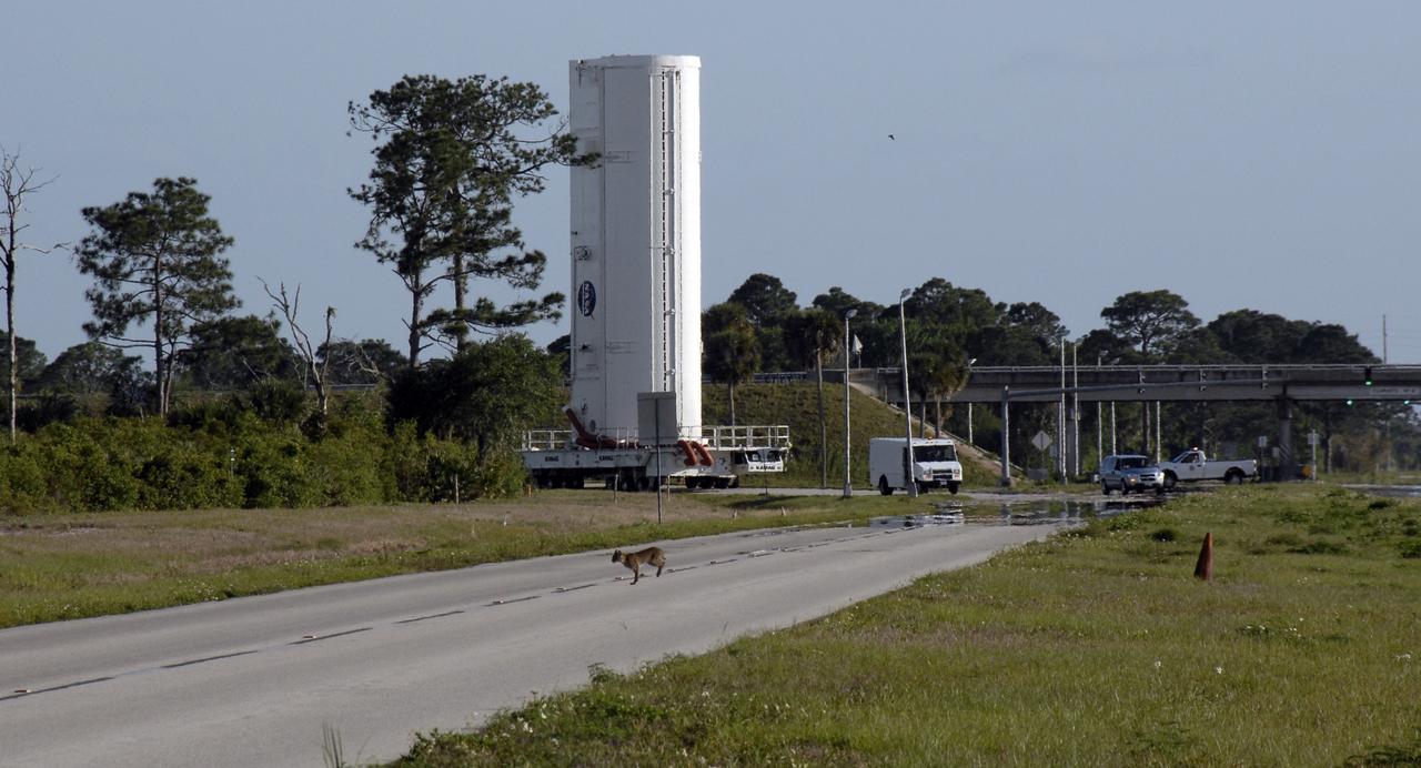 CAPE CANAVERAL, Fla. –– At NASA's Kennedy Space Center in Florida, the payload canister with the Hubble Space Telescope equipment heads for Launch Pad 39A.  In the foreground, a bobcat runs across the road.  On the pad, the Hubble equipment will be transferred to space shuttle Atlantis' payload bay. Atlantis' 11-day STS-125 mission to service Hubble is targeted for launch May 12.  The flight will include five spacewalks in which astronauts will refurbish and upgrade the telescope with state-of-the-art science instruments. As a result, Hubble's capabilities will be expanded and its operational lifespan extended through at least 2014.  Photo credit: NASA/Kim Shiflett