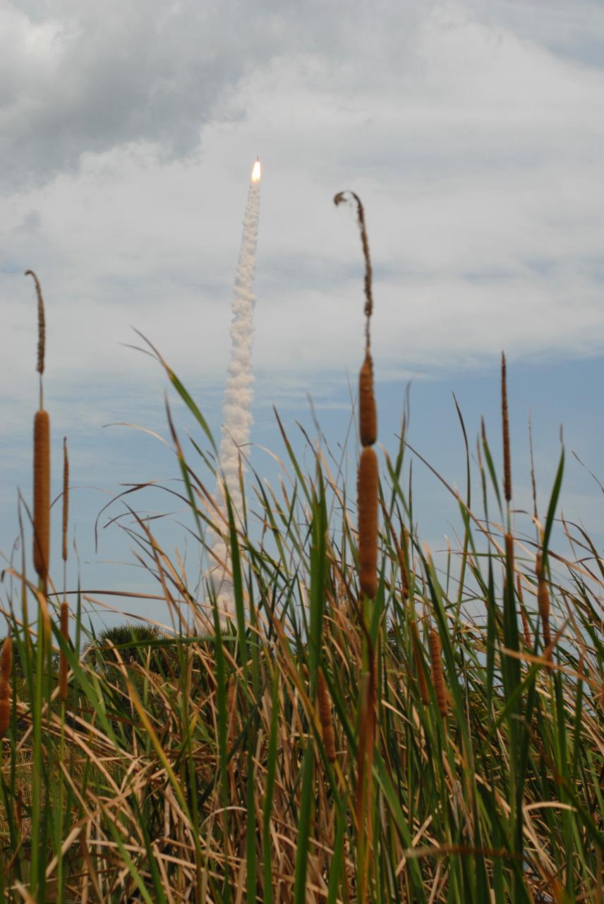 CAPE CANAVERAL, Fla. – As if erupting from the bed of cattails at NASA's Kennedy Space Center, space shuttle Atlantis trails a column of smoke while racing to space on the STS-125 mission. Atlantis will rendezvous with NASA's Hubble Space Telescope .  Liftoff was on time at 2:01 p.m. EDT. Atlantis' 11-day flight will include five spacewalks to refurbish and upgrade the telescope with state-of-the-art science instruments that will expand Hubble's capabilities and extend its operational lifespan through at least 2014.  The payload includes a Wide Field Camera 3, Fine Guidance Sensor and the Cosmic Origins Spectrograph.  Photo credit: NASA/Ben Cooper