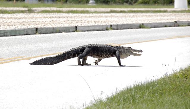 NASA image: KSC-2009-3679