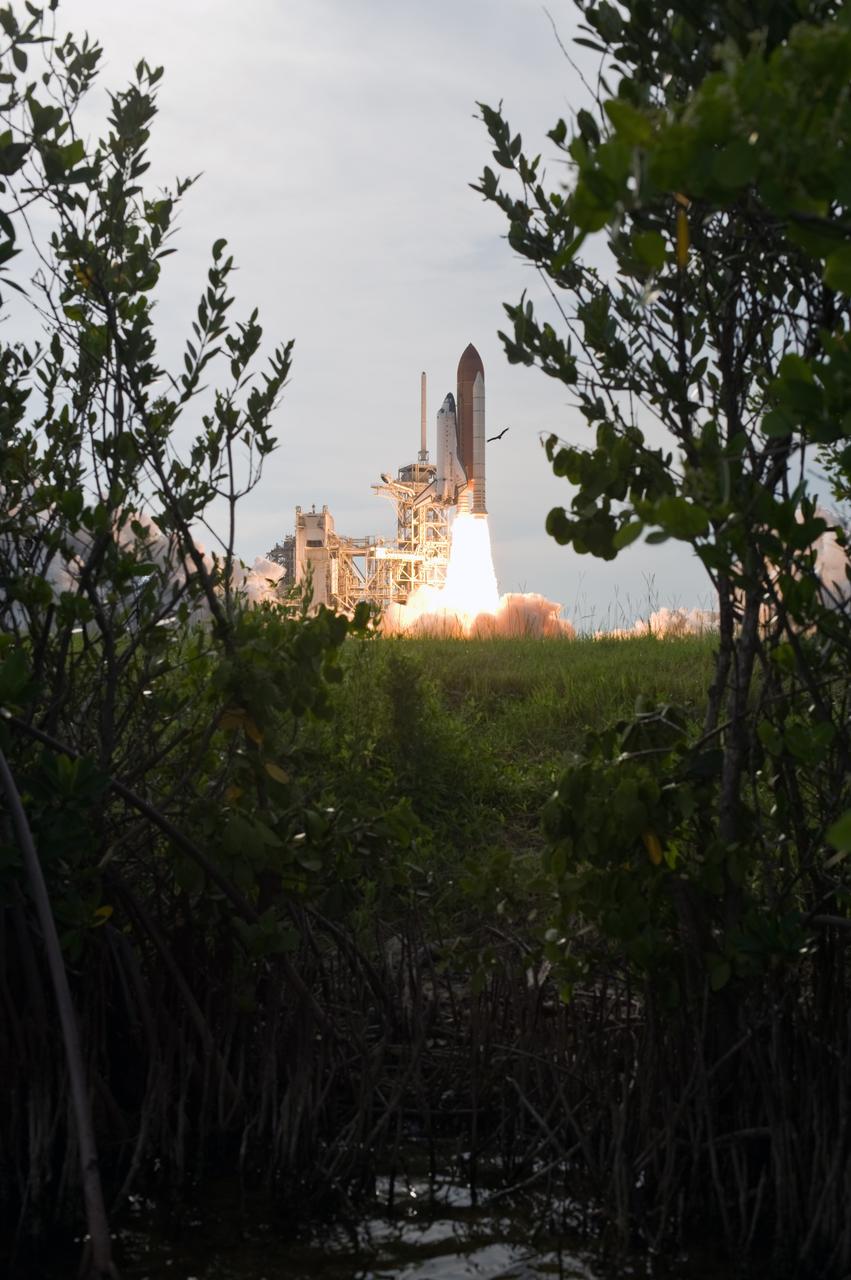 CAPE CANAVERAL, Fla. –   – Branches on the nearby shore frame a startled bird and space shuttle Endeavour as it roars into space from NASA Kennedy Space Center's Launch Pad 39A.  This was the sixth launch attempt for the STS-127 mission.  The launch was scrubbed on June 13 and June 17 when a hydrogen gas leak occurred during tanking due to a misaligned Ground Umbilical Carrier Plate.  The mission was postponed July 11, 12 and 13 due to weather conditions near the Shuttle Landing Facility at Kennedy that violated rules for launching, and lightning issues. Endeavour will deliver the Japanese Experiment Module's Exposed Facility and the Experiment Logistics Module-Exposed Section in the final of three flights dedicated to the assembly of the Japan Aerospace Exploration Agency's Kibo laboratory complex on the International Space Station.   Photo credit: NASA/Tony Gray, Tom Farrar