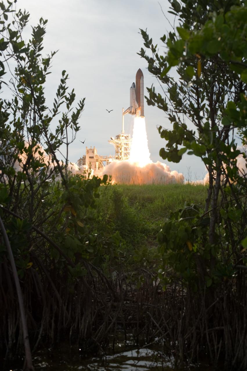 CAPE CANAVERAL, Fla. –   Branches on the nearby shore frame startled birds and space shuttle Endeavour as it roars into space from NASA Kennedy Space Center's Launch Pad 39A.  This was the sixth launch attempt for the STS-127 mission.  The launch was scrubbed on June 13 and June 17 when a hydrogen gas leak occurred during tanking due to a misaligned Ground Umbilical Carrier Plate.  The mission was postponed July 11, 12 and 13 due to weather conditions near the Shuttle Landing Facility at Kennedy that violated rules for launching, and lightning issues. Endeavour will deliver the Japanese Experiment Module's Exposed Facility and the Experiment Logistics Module-Exposed Section in the final of three flights dedicated to the assembly of the Japan Aerospace Exploration Agency's Kibo laboratory complex on the International Space Station.   Photo credit: NASA/Tony Gray, Tom Farrar