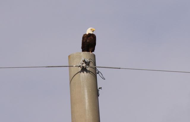 NASA image: KSC-2009-6044