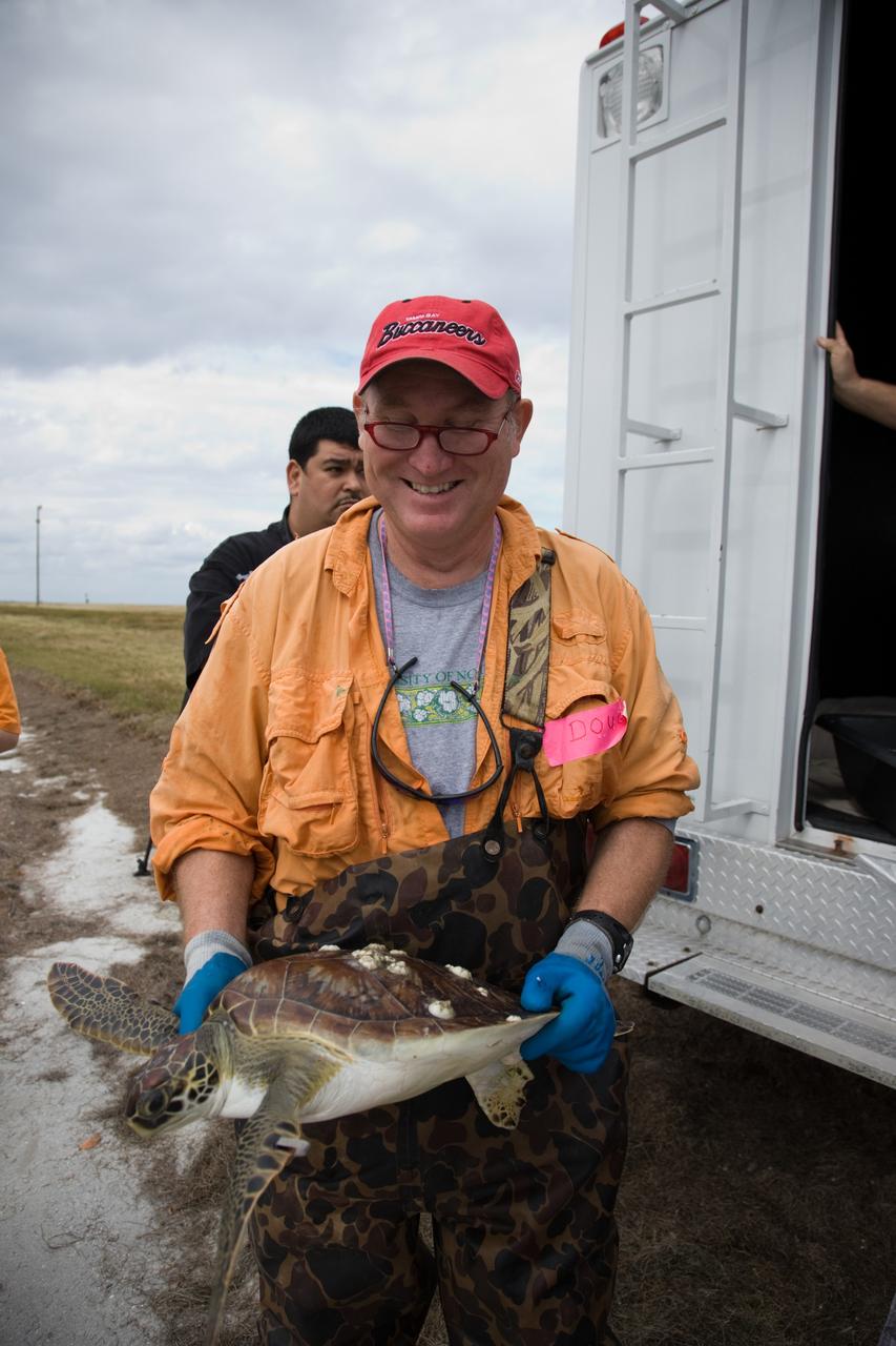 CAPE CANAVERAL, Fla. - Doug Scheidt, an employee of Innovative Health Applications at NASA's Kennedy Space Center in Florida, holds a juvenile green sea turtle prior to its release into the Banana River. The turtle was one of nearly 2,000 that were "stunned" by a recent drop in temperatures.     Many of the turtles were rescued from the Mosquito Lagoon, with others coming from the Indian River Lagoon and Cocoa Beach. Biologists, environmentalists, wildlife experts and other volunteers joined forces with a massive rescue effort at the Merritt Island National Wildlife Refuge, where the turtles were identified, examined and transported to rehabilitation facilities throughout Florida and South Georgia. The animals stayed at these facilities until local waters warmed up to safe temperatures.  Photo credit: NASA/Troy Cryder
