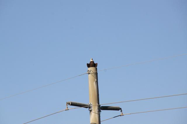 NASA image: KSC-2010-4650