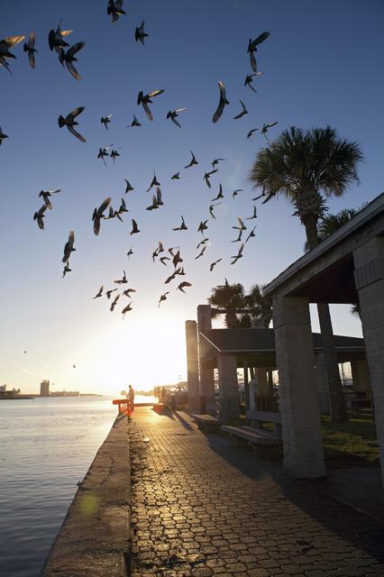 NASA image: KSC-2010-4831