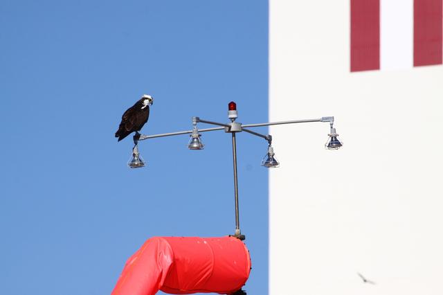 NASA image: KSC-2010-5735