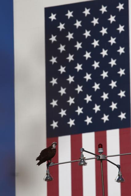 NASA image: KSC-2010-5736