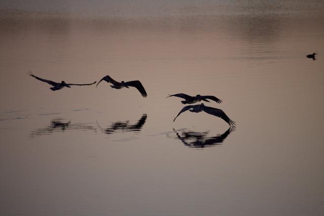 NASA image: KSC-2010-5870