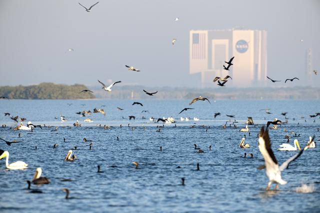 NASA image: KSC-2010-5936