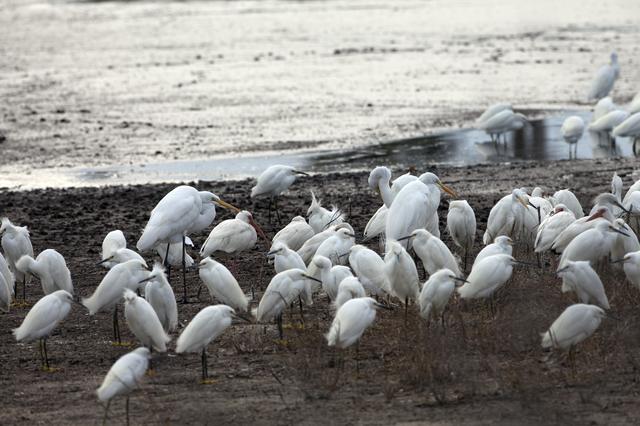 NASA image: KSC-2011-1031
