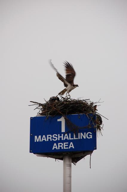 NASA image: KSC-2011-2648