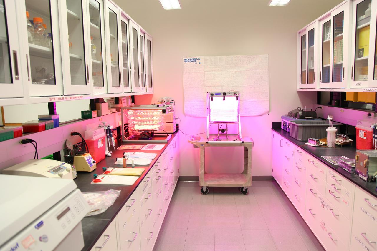 Cape Canaveral, Fla. -- A research laboratory is prepared for students to perform hands-on activities in Kennedy’s Space Life Sciences Laboratory (SLSL). High-school students from two Orlando, Fla., schools travelled to NASA’s Kennedy Space Center in Florida to participate in National Lab Day activities. During the event, about 80 students, toured various facilities and engaged in educational hands-on activities. National Lab Day is a partnership between federal agencies, foundations, professional societies and organizations devoted to promoting science, technology, engineering and math, or STEM, hands-on discovery-based laboratory experiences for students. Photo Credit: NASA/Frankie Martin