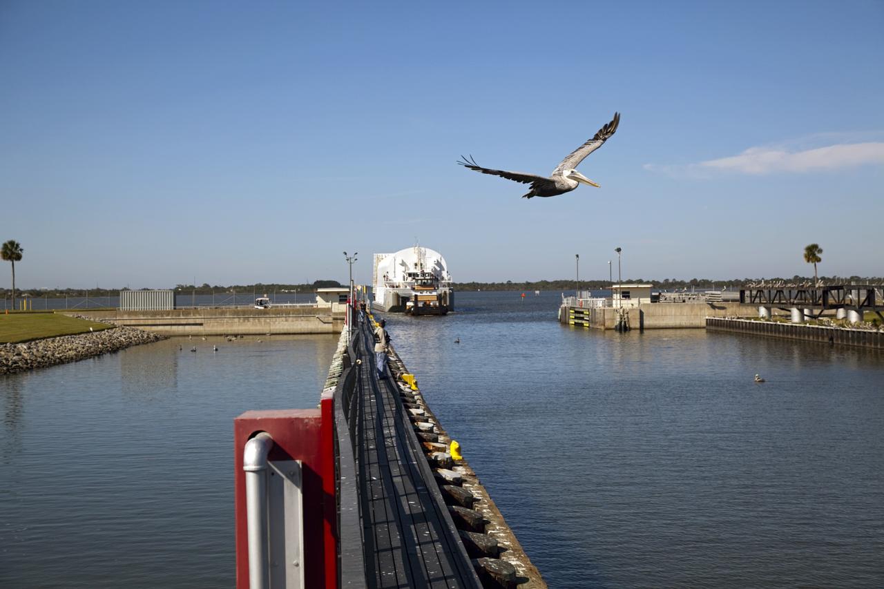 CAPE CANAVERAL, Fla. – A pelican flies overhead as tugboats maneuver NASA's Pegasus Barge to the entrance of the Port Canaveral lock in Florida. The 266-foot-long and 50-foot-wide barge will be towed by NASA's Freedom Star ship to deliver space shuttle main engine (SSME) ground support equipment to Stennis Space Center near Bay St. Louis, Miss. Since being delivered to NASA in 1999, Pegasus sailed 41 times and transported 31 shuttle external fuel tanks from Michoud Assembly Facility near New Orleans to Kennedy Space Center. The barge is leaving Kennedy, perhaps for the final time. Both the barge and shuttle equipment will remain in storage until their specific future uses are determined. The SSMEs themselves will be transported to Stennis separately for use with the agency's new heavy-lift rocket, the Space Launch System. The work is part of the Space Shuttle Program’s transition and retirement processing. For more information about Shuttle Transition and Retirement, visit http://www.nasa.gov/mission_pages/transition/home/index.html. Photo credit: NASA/Frankie Martin