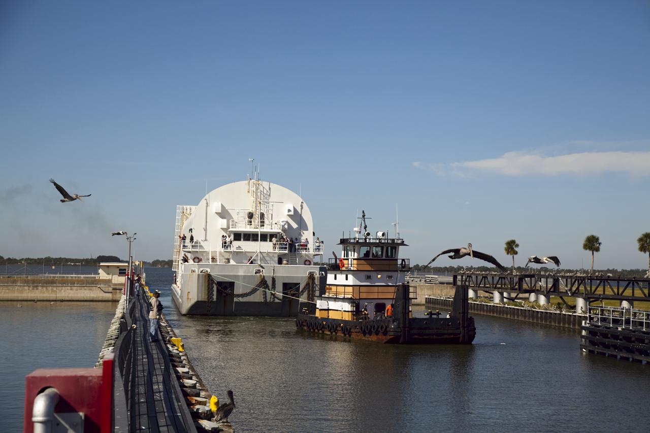 CAPE CANAVERAL, Fla. – Pelicans lead the way as a tugboat pulls NASA's Pegasus Barge through the Port Canaveral lock in Florida. The 266-foot-long and 50-foot-wide barge will be towed by NASA's Freedom Star ship to deliver space shuttle main engine (SSME) ground support equipment to Stennis Space Center near Bay St. Louis, Miss. Since being delivered to NASA in 1999, Pegasus sailed 41 times and transported 31 shuttle external fuel tanks from Michoud Assembly Facility near New Orleans to Kennedy Space Center. The barge is leaving Kennedy, perhaps for the final time. Both the barge and shuttle equipment will remain in storage until their specific future uses are determined. The SSMEs themselves will be transported to Stennis separately for use with the agency's new heavy-lift rocket, the Space Launch System. The work is part of the Space Shuttle Program’s transition and retirement processing. For more information about Shuttle Transition and Retirement, visit http://www.nasa.gov/mission_pages/transition/home/index.html. Photo credit: NASA/Frankie Martin