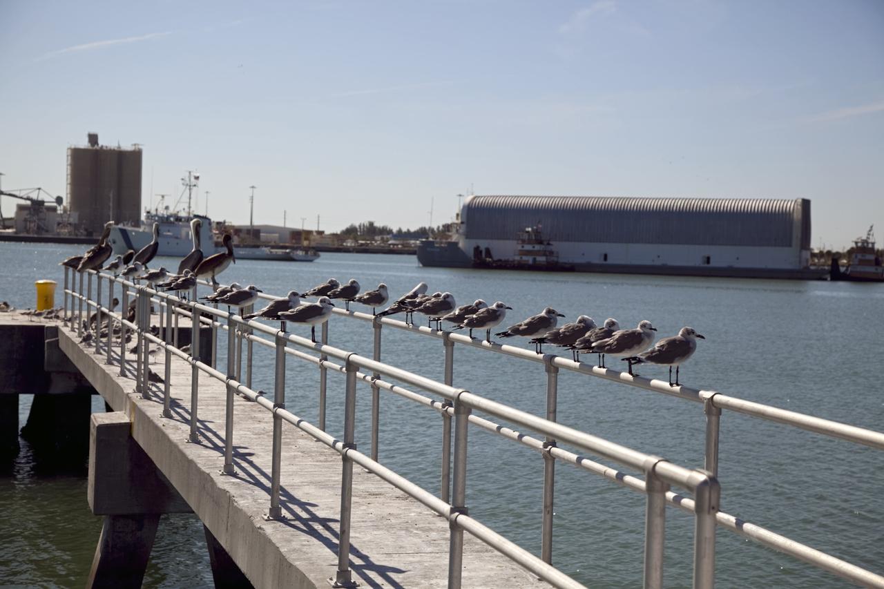 CAPE CANAVERAL, Fla. – NASA's Freedom Star ship tows the Pegasus Barge through Port Canaveral in Florida. Freedom Star is towing the 266-foot-long and 50-foot-wide barge to Stennis Space Center near Bay St. Louis, Miss. to deliver space shuttle main engine (SSME) ground support equipment. Since being delivered to NASA in 1999, Pegasus sailed 41 times and transported 31 shuttle external fuel tanks from Michoud Assembly Facility near New Orleans to Kennedy Space Center. The barge is leaving Kennedy, perhaps for the final time. Both the barge and shuttle equipment will remain in storage until their specific future uses are determined. The SSMEs themselves will be transported to Stennis separately for use with the agency's new heavy-lift rocket, the Space Launch System. The work is part of the Space Shuttle Program’s transition and retirement processing. For more information about Shuttle Transition and Retirement, visit http://www.nasa.gov/mission_pages/transition/home/index.html. Photo credit: NASA/Frankie Martin