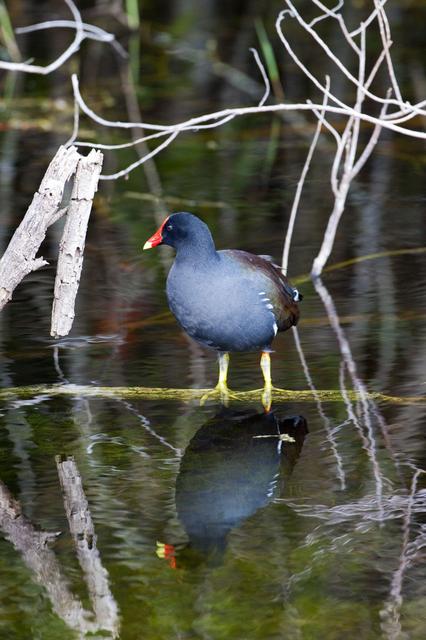 NASA image: KSC-2011-8339