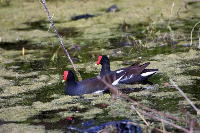 NASA image: KSC-2011-8344