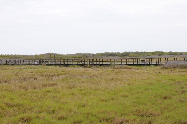View of the Shuttle Landing Facility