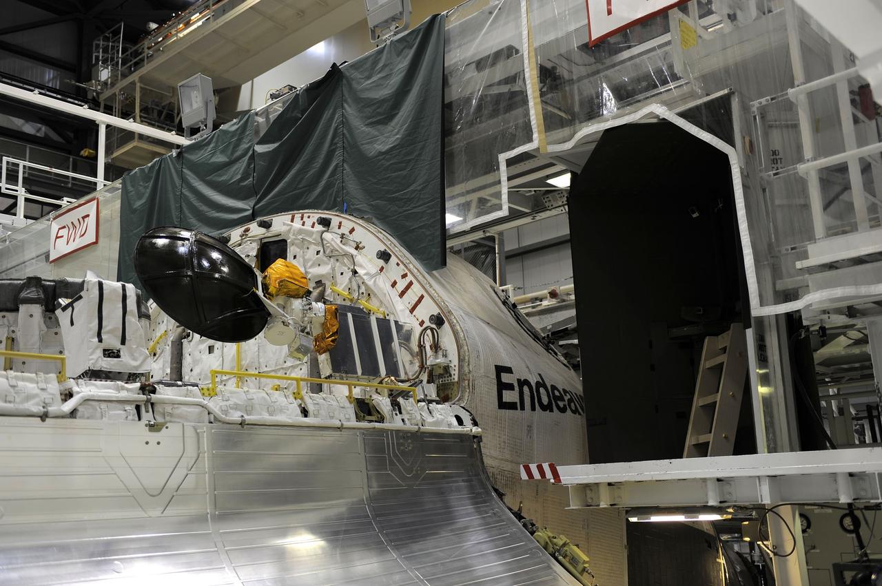 CAPE CANAVERAL, Fla. -- In Orbiter Processing Facility-2 at NASA’s Kennedy Space Center in Florida, one of space shuttle Endeavour’s payload bay doors has been fully opened so that an antenna can be retracted. Space Shuttle Program transition and retirement work continues on Discovery and Endeavour in the orbiter processing facilities, while shuttle Atlantis is in temporary storage in high bay 4 of the Vehicle Assembly Building. Endeavour is being prepared for display at the California Science Center in Los Angeles. Photo credit: NASA/Kim Shiflett