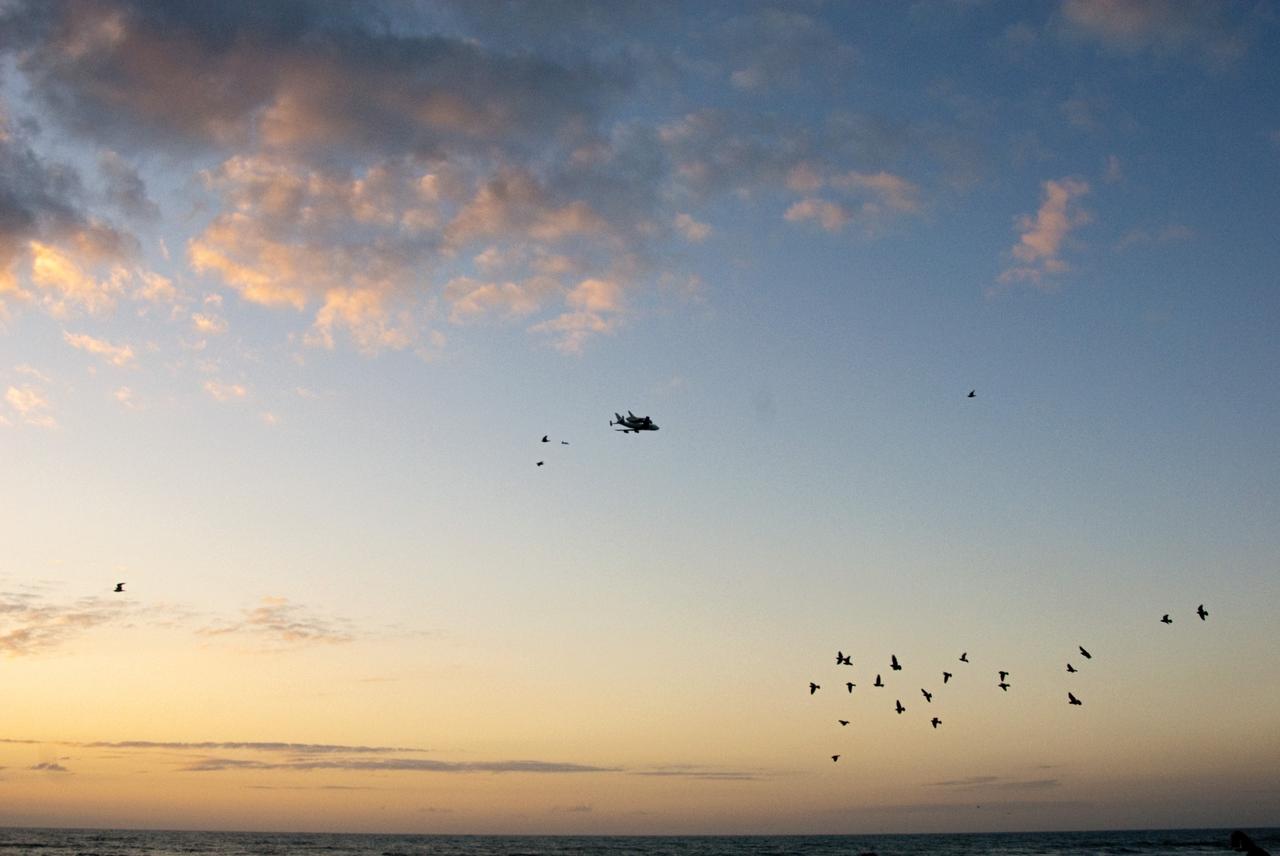 CAPE CANAVERAL, Fla. – The Shuttle Carrier Aircraft transporting space shuttle Discovery shares the sky with a flock of seagulls as it flies over Cocoa Beach just after sunrise, giving Brevard County residents the opportunity to see the shuttle for the last time before it leaves the Space Coast for its new home. The aircraft, known as an SCA, is a Boeing 747 jet, originally manufactured for commercial use which was modified by NASA to transport the shuttles between destinations on Earth. This SCA, designated NASA 905, is assigned to the remaining ferry missions, delivering the shuttles to their permanent public display sites. NASA 905 is ferrying Discovery to the Washington Dulles International Airport in Virginia today, after which the shuttle will be placed on display in the Smithsonian's National Air and Space Museum Steven F. Udvar-Hazy Center around April 19. For more information on the SCA, visit http://www.nasa.gov/centers/dryden/news/FactSheets/FS-013-DFRC.html. For more information on shuttle transition and retirement activities, visit http://www.nasa.gov/transition. Photo credit: NASA/R. D. Lee