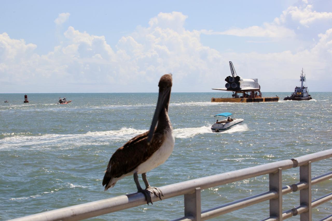 CAPE CANAVERAL, Fla. – The high-fidelity space shuttle model glides past the fishing pier – and this long-beaked fisherman -- near the mouth of Port Canaveral as it heads into the Atlantic Ocean, in the distance.  The model is en route by barge from NASA’s Kennedy Space Center in Florida to Space Center Houston, NASA Johnson Space Center’s official visitor center.  Its journey to Texas will take it south along the Florida coastline, around Key West and into the Gulf of Mexico.      The model was built in Apopka, Fla., by Guard-Lee and installed at the Kennedy Space Center Visitor Complex in 1993.  The model is expected to arrive June 1 in Houston and to be transported June 3 to Space Center Houston, its final destination, where it will become part of a unique display telling the story of the space shuttle’s achievements and the nationwide team that made them possible. For more information about Space Center Houston, visit http://www.spacecenter.org.  Photo credit: NASA/Dimitri Gerondidakis