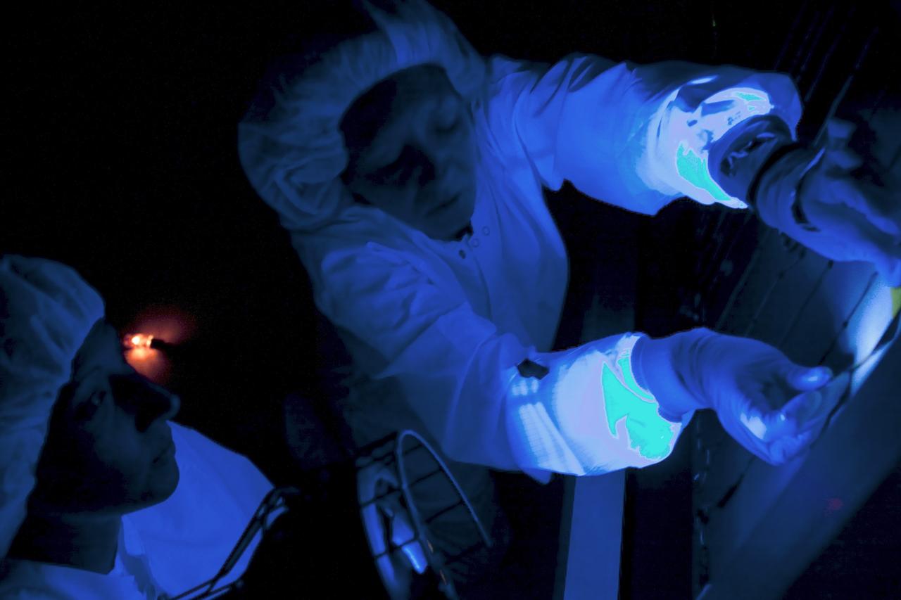 CAPE CANAVERAL, Fla. – Using a black light, technicians closely inspect a solar panel on one of NASA's twin Radiation Belt Storm Probes inside the clean room high bay at the Astrotech payload processing facility near NASA’s Kennedy Space Center in Florida. The technicians are dressed in clean-room attire known as “bunny suits.”    Black-light inspection uses UVA fluorescence to detect possible microcontamination, small cracks or fluid leaks. The Radiation Belt Storm Probes, or RBSP, mission will help us understand the sun’s influence on Earth and near-Earth space by studying the Earth’s radiation belts on various scales of space and time. RBSP will begin its mission of exploration of Earth's Van Allen radiation belts and the extremes of space weather after its launch aboard a United Launch Alliance Atlas V rocket. Launch is targeted for Aug. 23.   For more information, visit http://www.nasa.gov/rbsp.  Photo credit: NASA/Jim Grossmann
