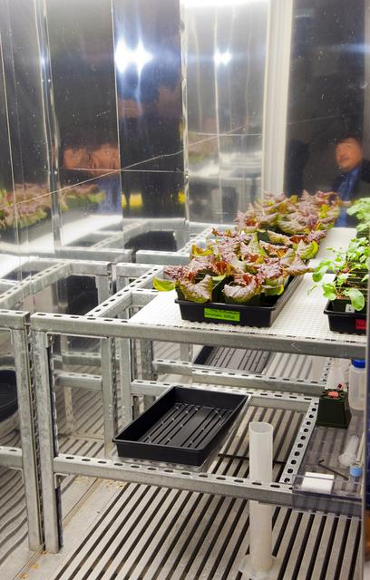 NASA image: KSC-2012-4087