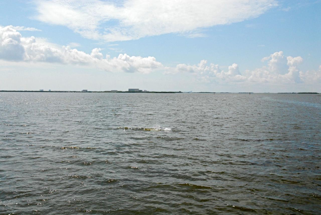 CAPE CANAVERAL, Fla. – A manatee splashes in the Banana River during a field-guided boat tour of NASA's Kennedy Space Center in Florida. As part of the center's first-ever Innovation Expo, the tour, called "Living Outdoor Laboratory for Environmental Sustainability," is giving employees the opportunity to see the unique estuarine ecosystems that are protected from development by the presence of Kennedy and the Merritt Island National Wildlife Refuge. Manatees are one of the many threatened or endangered species that call the refuge home.      The diverse and healthy area encompassing about 140,000 acres of central Florida's east coast has been closed to the public for 50 years, allowing the coastal dunes, saltwater estuaries and marshes, freshwater impoundments, scrub, pine flatwoods, and hardwood hammocks to provide habitats for more than 1,000 species of plants and animals. Innovation Expo is showcasing the innovative work taking place throughout the center's facilities and labs to encourage employees to work together to solve future challenges. For more information, visit http://www.nasa.gov/kennedy. Photo credit: NASA