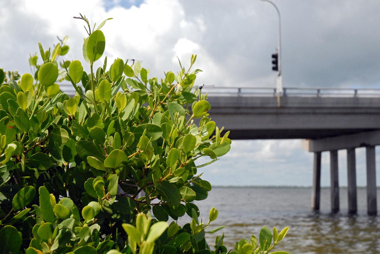 CAPE CANAVERAL, Fla. – The Roy D. Bridges Jr. Bridge connecting NASA Kennedy Space Center's Industrial Area to Cape Canaveral Air Force Station's Industrial Area is seen during a field-guided boat tour. As part of the Kennedy's first-ever Innovation Expo, the tour, called "Living Outdoor Laboratory for Environmental Sustainability," is giving employees the opportunity to see the unique estuarine ecosystems that are protected from development by the presence of the center and the Merritt Island National Wildlife Refuge.     The diverse and healthy area encompassing about 140,000 acres of central Florida's east coast has been closed to the public for 50 years, allowing the coastal dunes, saltwater estuaries and marshes, freshwater impoundments, scrub, pine flatwoods, and hardwood hammocks to provide habitats for more than 1,000 species of plants and animals. Innovation Expo is showcasing the innovative work taking place throughout the center's facilities and labs to encourage employees to work together to solve future challenges. For more information, visit http://www.nasa.gov/kennedy. Photo credit: NASA