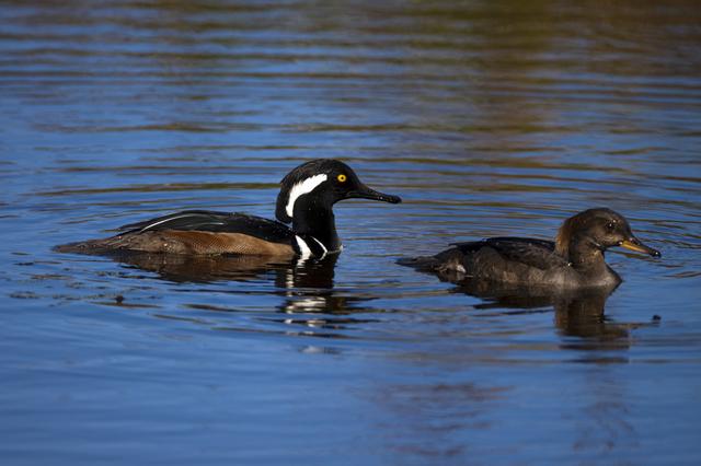 NASA image: KSC-2012-6469