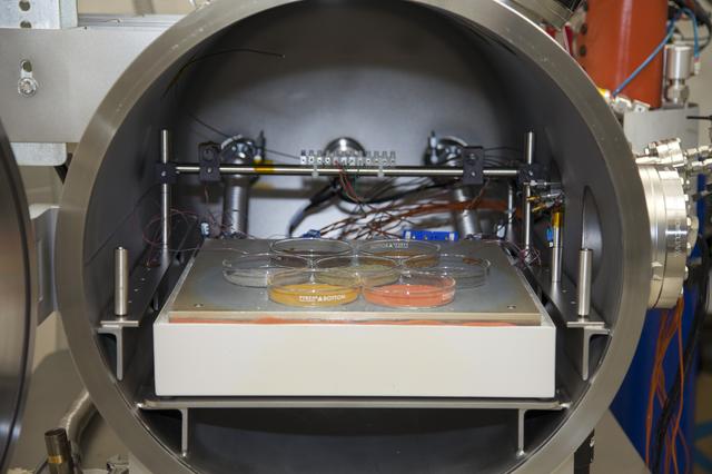 NASA image: KSC-2013-2765