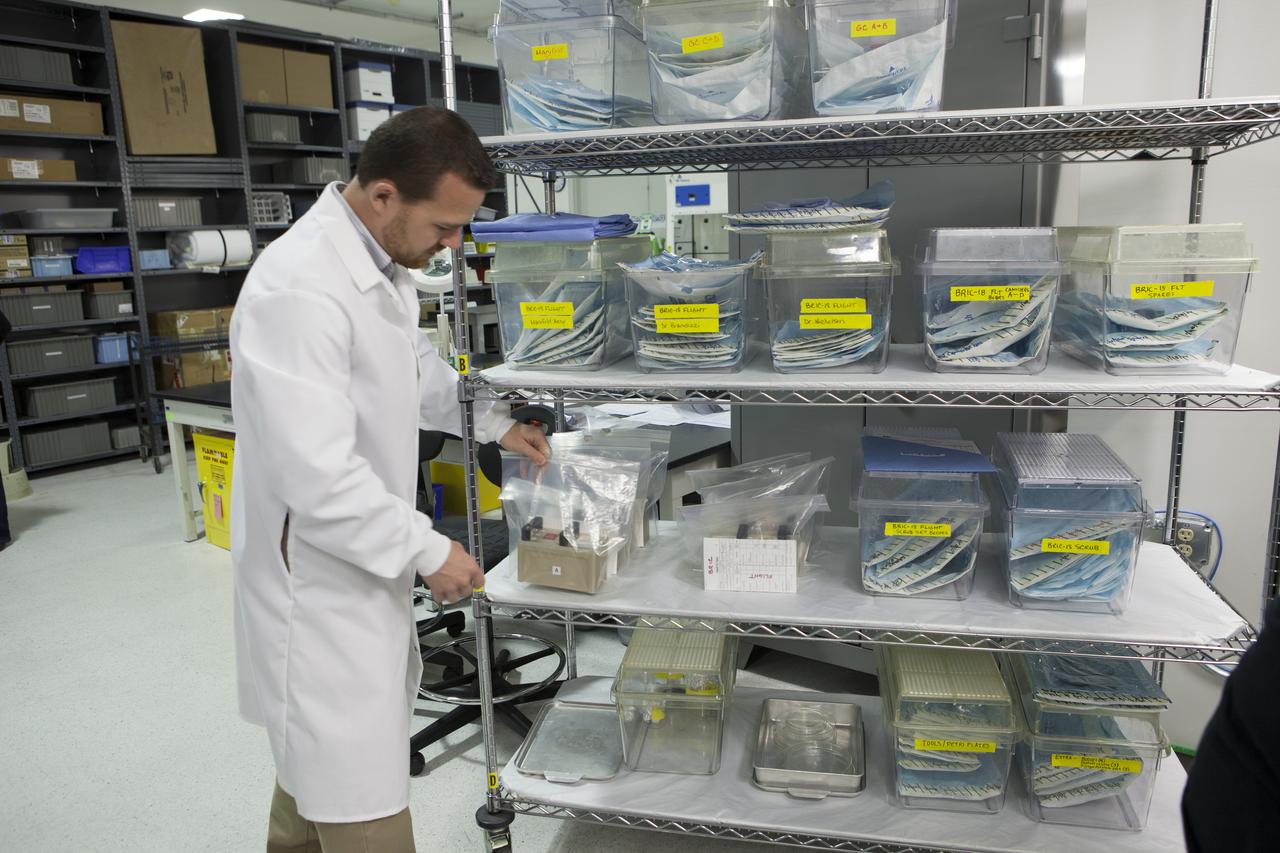 CAPE CANAVERAL, Fla. - In the Space Station Processing Facility at NASA's Kennedy Space Center in Florida, Terry Tullis, a QinetiQ North America mechanical engineer, places the Biological Research In Canisters, or BRIC, 18-1 and 18-2 experiments with others to be launched to the International Space Station aboard a SpaceX Dragon spacecraft. Scheduled for launch on March 16 atop a Falcon 9 rocket, Dragon will be marking its fourth trip to the space station. The SpaceX-3 mission is the third of 12 flights contracted by NASA to resupply the orbiting laboratory. For more information, visit http://www.nasa.gov/mission_pages/station/structure/launch/index.html Photo credit: NASA/Kim Shiflett