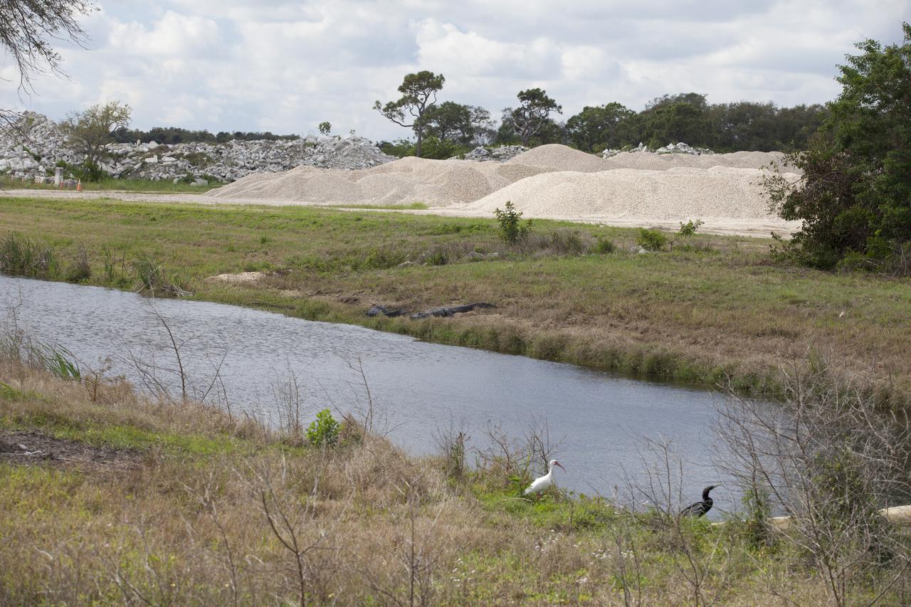 CAPE CANAVERAL, Fla. - Wildlife coexists at NASA’s Kennedy Space Center in Florida. A great white egret stands in the grass near a waterway while two American alligators sun themselves in the grass nearby. The center shares a boundary with the Merritt Island National Wildlife Refuge. The refuge encompasses 140,000 acres that are a habitat for more than 330 species of birds, 31 mammals, 117 fishes, and 65 amphibians and reptiles. It contains more than 1,000 known plant species. The marshes and open water of the refuge provide wintering areas for 23 species of migratory waterfowl, as well as a year-round home for great blue herons, great egrets, wood storks, cormorants, brown pelicans and other species of marsh and shore birds, and a variety of insects. Photo credit: NASA/Daniel Casper