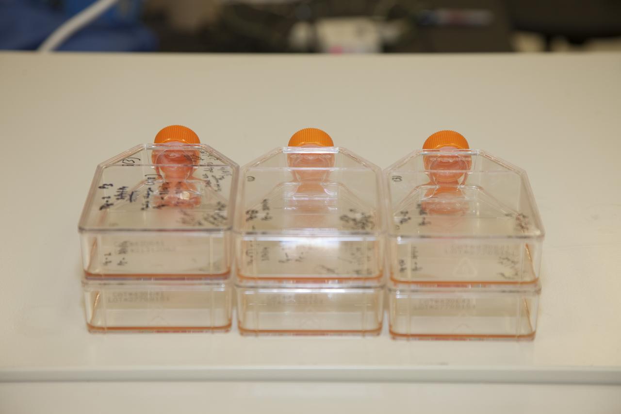 CAPE CANAVERAL, Fla. - In the Space Station Processing Facility at NASA's Kennedy Space Center in Florida, the University Research-1 payload developed by Texas Southern University in Houston is being prepared for loading aboard the SpaceX Dragon spacecraft for launch to the International Space Station. The experiment involves an investigation of countermeasures involving research into the efficacy of benzofuran-2-carboxylic acid derivatives as pharmacological countermeasures in mitigating the adverse effects of space flight and the International Space Station radiation environment on the immune system. Scheduled for launch on March 16 atop a Falcon 9 rocket, Dragon will be marking its fourth trip to the space station. The SpaceX-3 mission is the third of 12 flights contracted by NASA to resupply the orbiting laboratory. For more information, visit http://www.nasa.gov/mission_pages/station/structure/launch/index.html Photo credit: NASA/Kim Shiflett