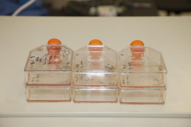 NASA image: University Research-1 Payload for SpaceX Launch