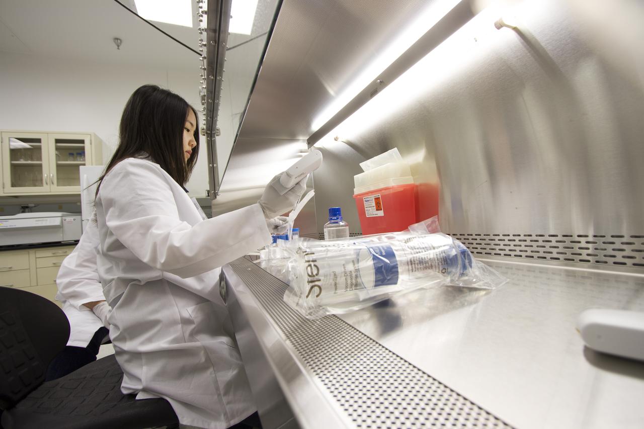 CAPE CANAVERAL, Fla. - T-cell science team member Miya Yoshida, of the Hughes-Fulford Laboratory in San Francisco, Calif., works in a biosafety hood during preflight experiment preparations in the Space Station Processing Facility at NASA's Kennedy Space Center in Florida. The immunology experiment will launch on SpaceX-3 and focus on the effects of microgravity on early T-cell signaling pathways. Current work aims to identify and compare the gene expression of microRNAs miRNAs during T-cell activation under normal gravity and in microgravity, and compare those patterns to changes seen in aging populations. The experiment will be the first flown on SpaceX funded by the National Institutes of Health. Dr. Hughes-Fulford flew aboard space shuttle mission STS-40 in June 1991, the first Spacelab mission dedicated to biomedical studies. For more information on the T-cell experiment, visit http://hughesfulfordlab.com and http://www.nasa.gov/ames/research/space-biosciences/t-cell-activation-in-aging-spacex-3/. Photo credit: NASA/Cory Huston