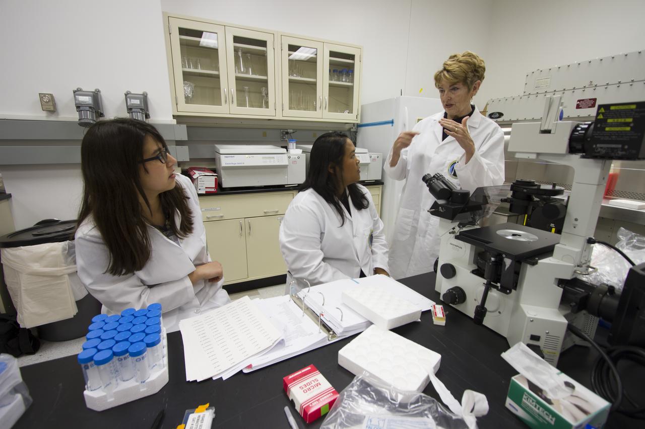 CAPE CANAVERAL, Fla. - Researcher and principal investigator Dr. Millie Hughes-Fulford of the Hughes-Fulford Laboratory, San Francisco, Calif., at right, plans preflight and post-flight experiment operations with T-cell science team members Emily Martinez, left, and Tara Candelario in the Space Station Processing Facility at NASA's Kennedy Space Center in Florida. The immunology experiment will launch on SpaceX-3 and focus on the effects of microgravity on early T-cell signaling pathways. Current work aims to identify and compare the gene expression of microRNAs miRNAs during T-cell activation under normal gravity and in microgravity, and compare those patterns to changes seen in aging populations. The experiment will be the first flown on SpaceX funded by the National Institutes of Health. Dr. Hughes-Fulford flew aboard space shuttle mission STS-40 in June 1991, the first Spacelab mission dedicated to biomedical studies. For more information on the T-cell experiment, visit http://hughesfulfordlab.com and http://www.nasa.gov/ames/research/space-biosciences/t-cell-activation-in-aging-spacex-3/. Photo credit: NASA/Cory Huston